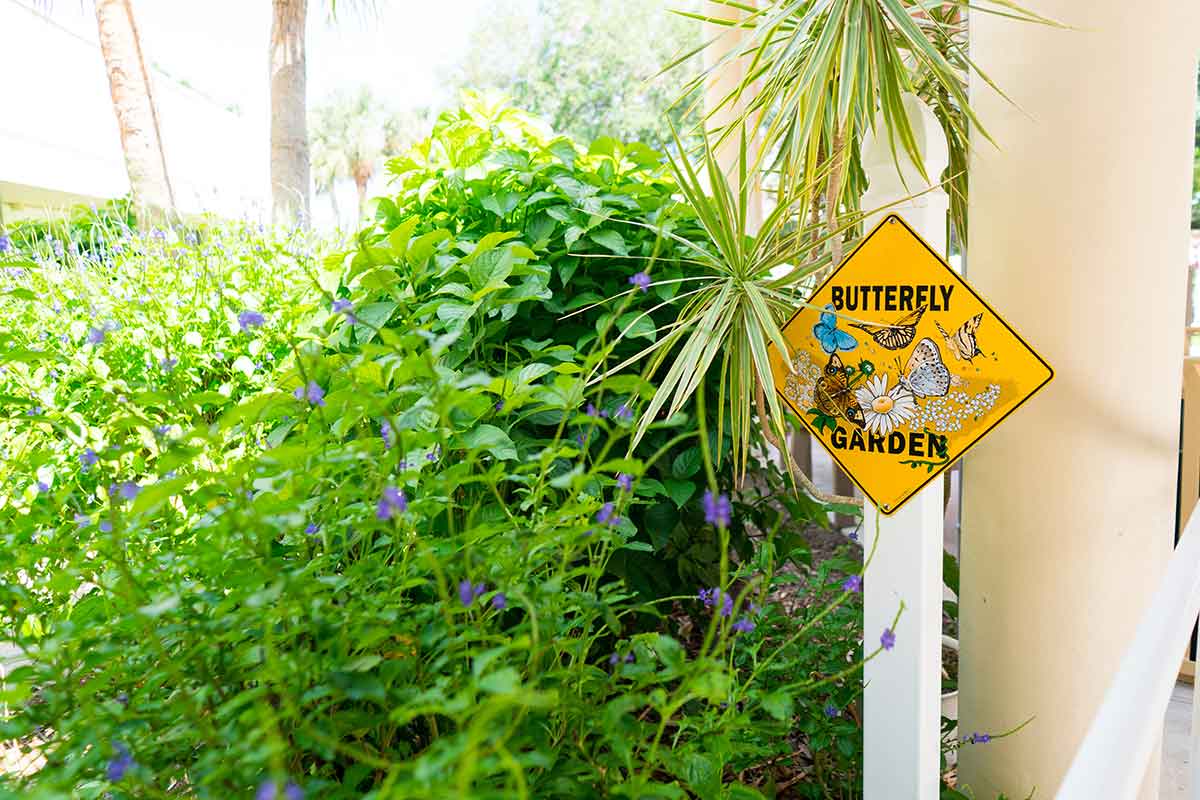 Butterfly Garden sign among flowering bushes.